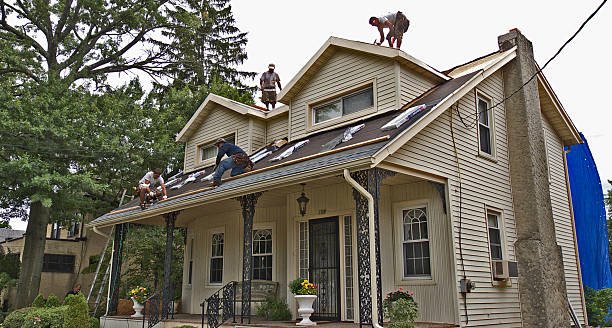 Best Shingle Roofing Installation  in Watford City, ND